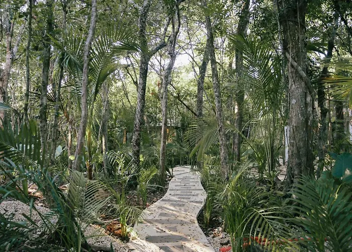 Tulum Jungle Tierra * Chemuyil